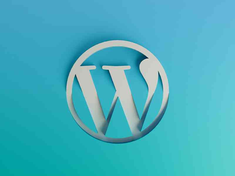 WordPress Hosting Nedir?